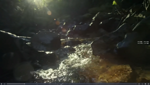 The Breathtaking Beauty of Nature